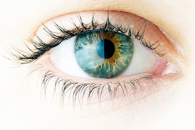 Healthy Vision 